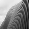 DSC_0094.jpg